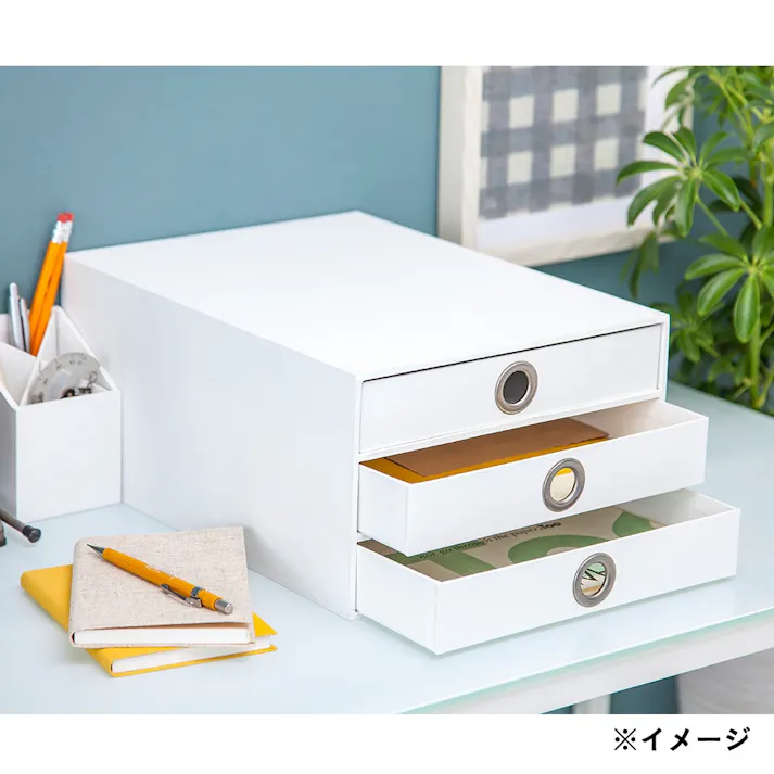 キャビネットケース 3段 ホワイト(販売終了)