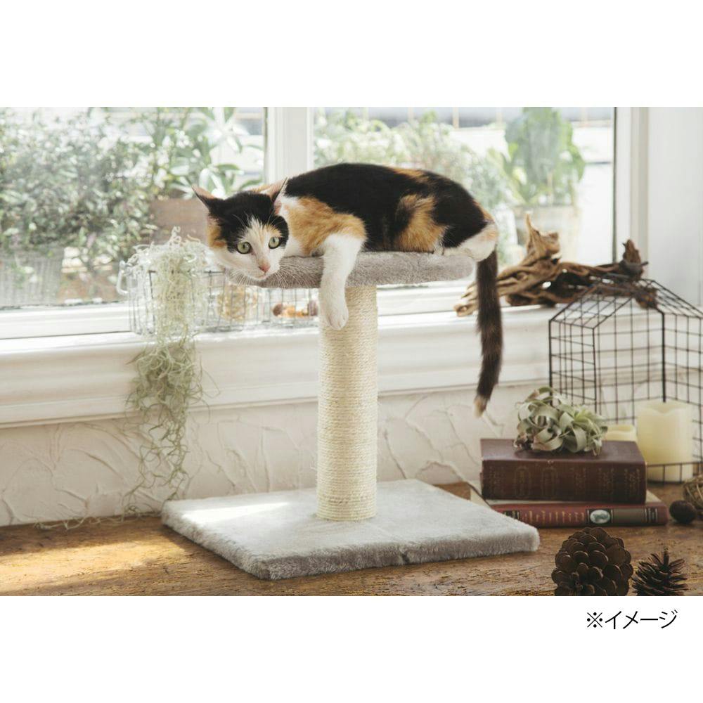 30 inch carpeted cat scratching post