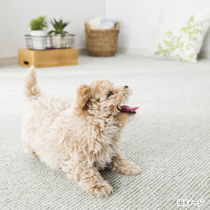 ペットと快適に過ごせるカーペット グリーン 8畳