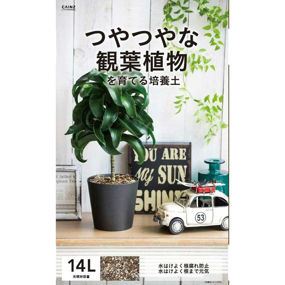 上品】 観葉植物 専用培養土 12L×4袋 ゼオライト ヤシガラ活性炭 根腐れ防止 防臭 観葉 多肉 ガーデニング 園芸 用土 培養土 大袋  まとめ買い 瀬戸ヶ原花苑 setogahara