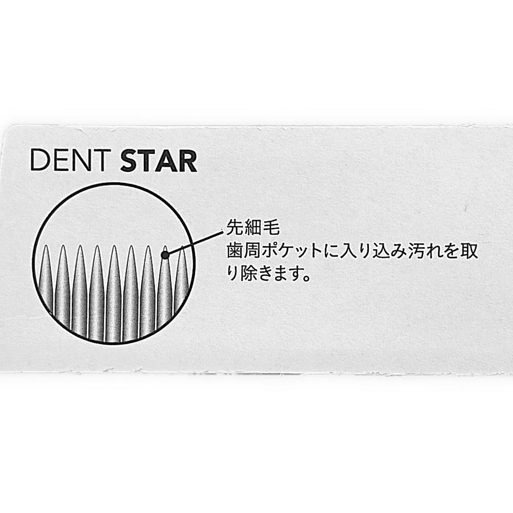 カインズ デントスター 全先細毛 3列 ストレート ふつう 1本