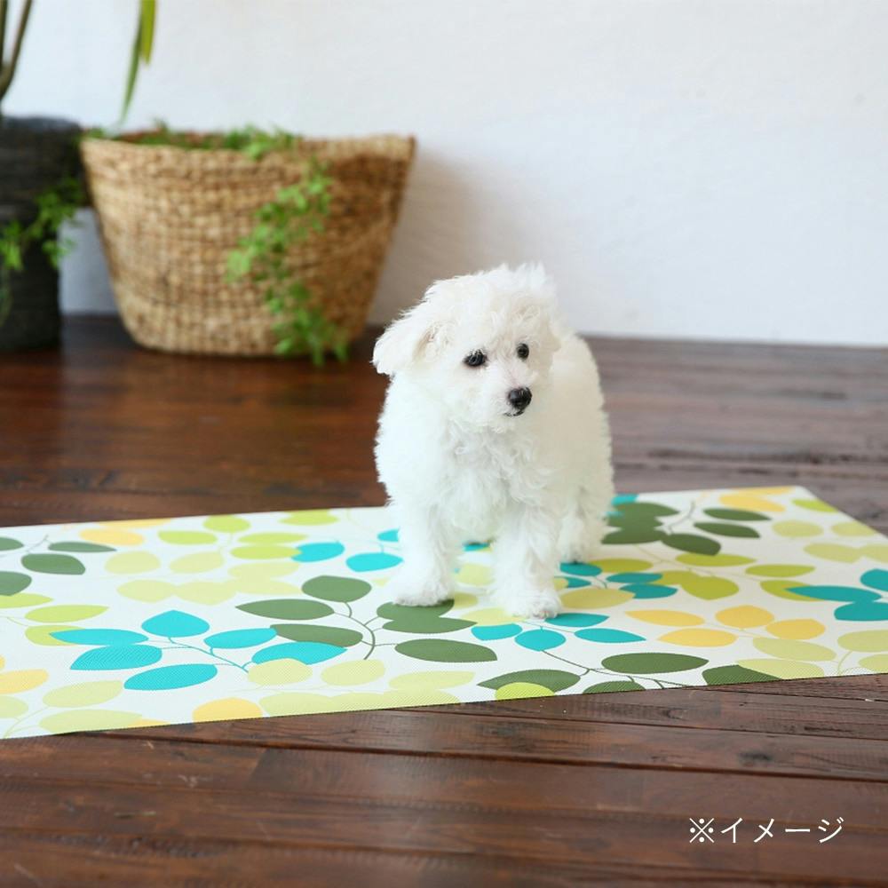 消臭マット リーフ 60×90cm | ペット用品（犬） | ホームセンター通販