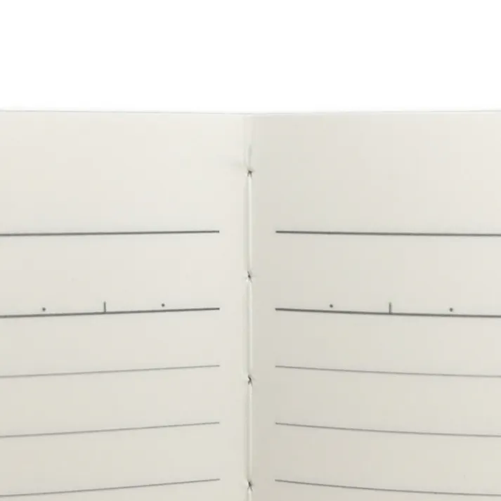 カインズ Salasse サラッセ 糸綴じノート B6 30枚 6mm B罫