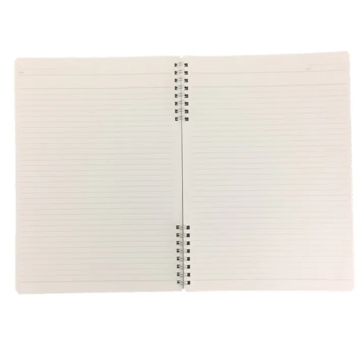 カインズ Salasse サラッセ ダブルリングノート B5 40枚 B罫 6mm ナチュラル