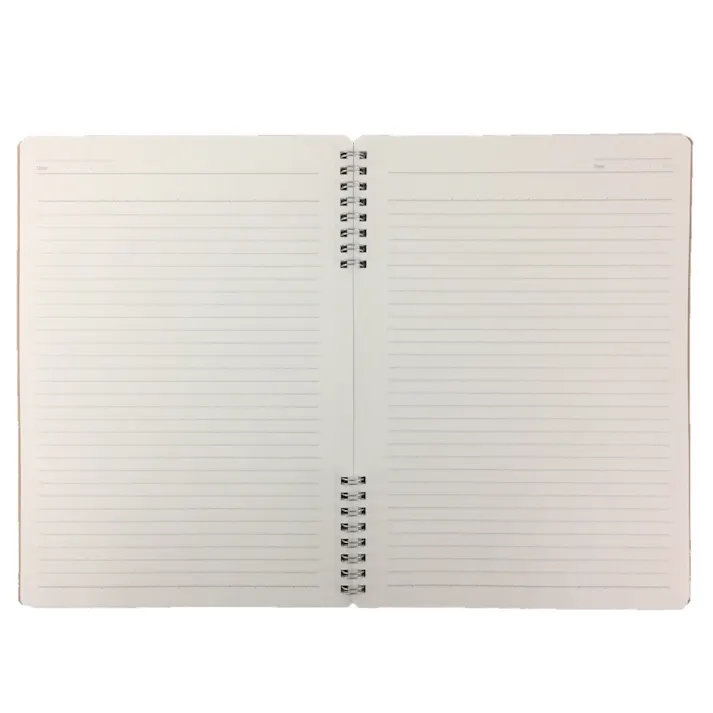 カインズ Salasse サラッセ ダブルリングノート B5 80枚 A罫 7mm ナチュラル