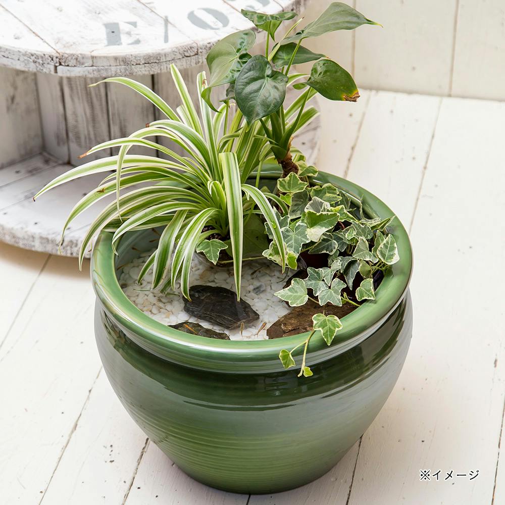 陶器睡蓮鉢 深型グリーン 35cm | 園芸用品 | ホームセンター通販