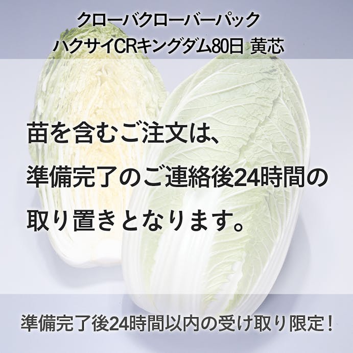 クローバーパック ハクサイCRキングダム 80日 黄芯