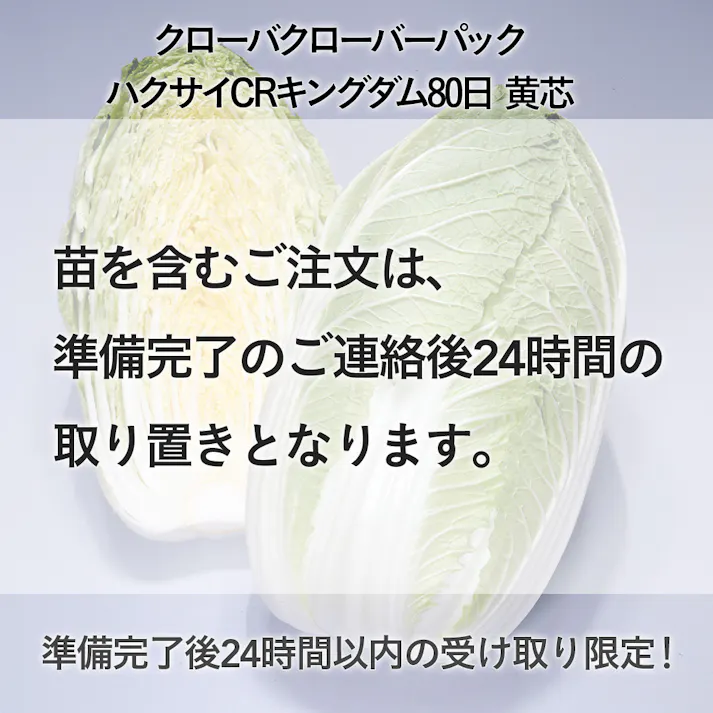 クローバーパック ハクサイCRキングダム 80日 黄芯