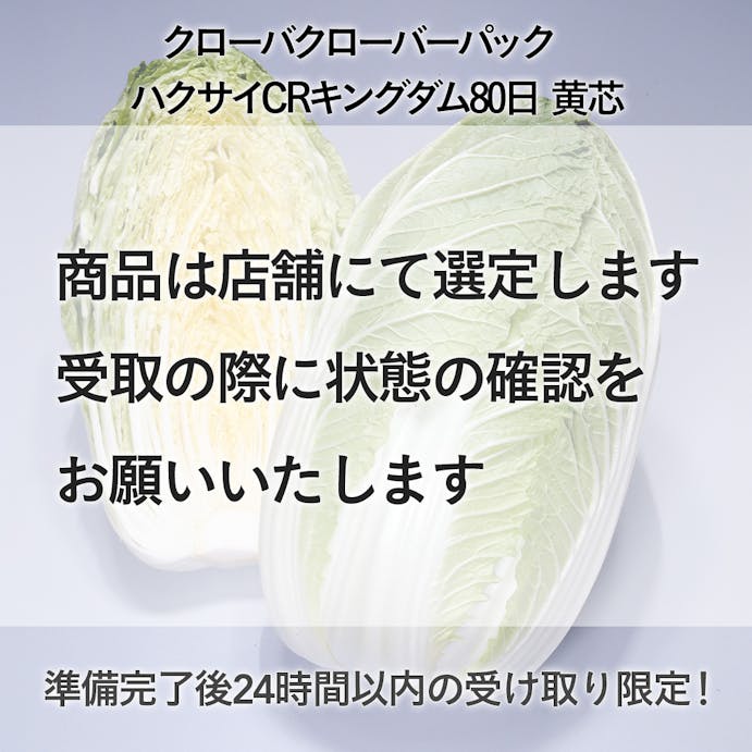 クローバーパック ハクサイCRキングダム 80日 黄芯