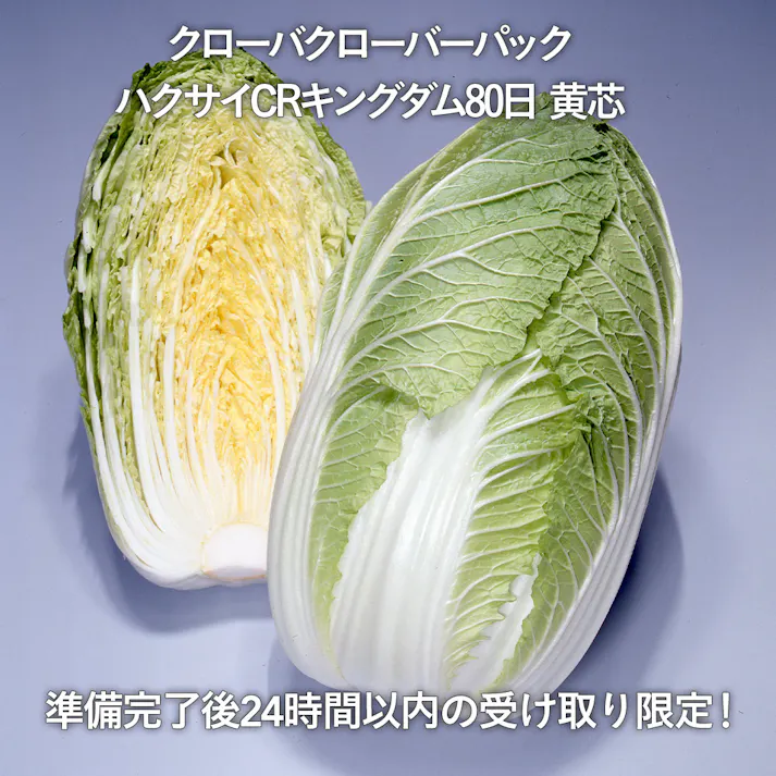クローバーパック ハクサイCRキングダム 80日 黄芯