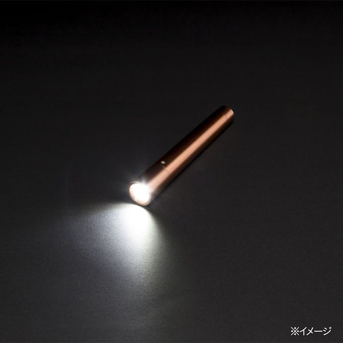 広く照らせるLEDライト単3×2CZ-K180C(販売終了)