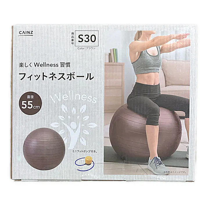 カインズ フィットネスボール ブラウン 55cm