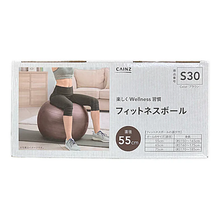 カインズ フィットネスボール ブラウン 55cm