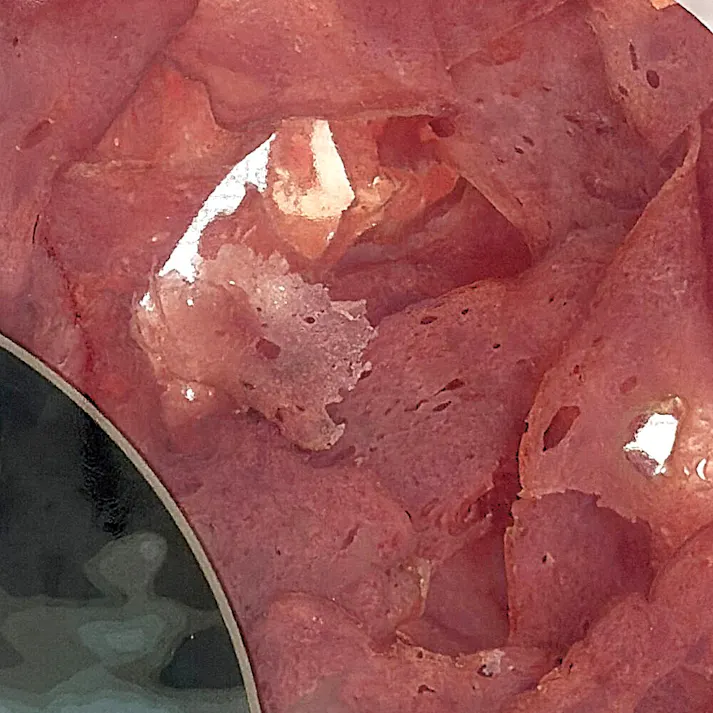 ふんわり砂肝 45g