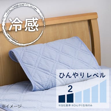 Sひんやり枕パッド(BL)50X50(販売終了)