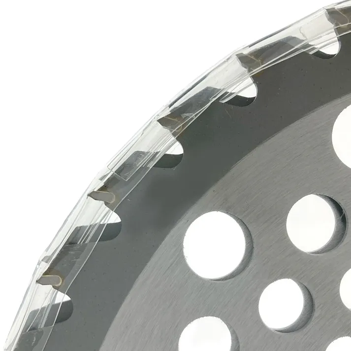 カインズ チップソー 刈払機用 230×36P 2枚組