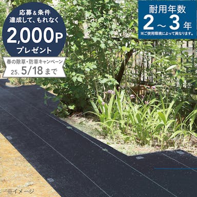 防草シート ブラック 2×50m