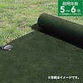 雑草ブロックシート 緑 1×10m