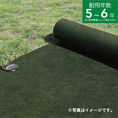 雑草ブロックシート緑 1×10m