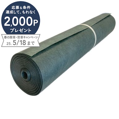 雑草ブロックシート 緑 1×50m