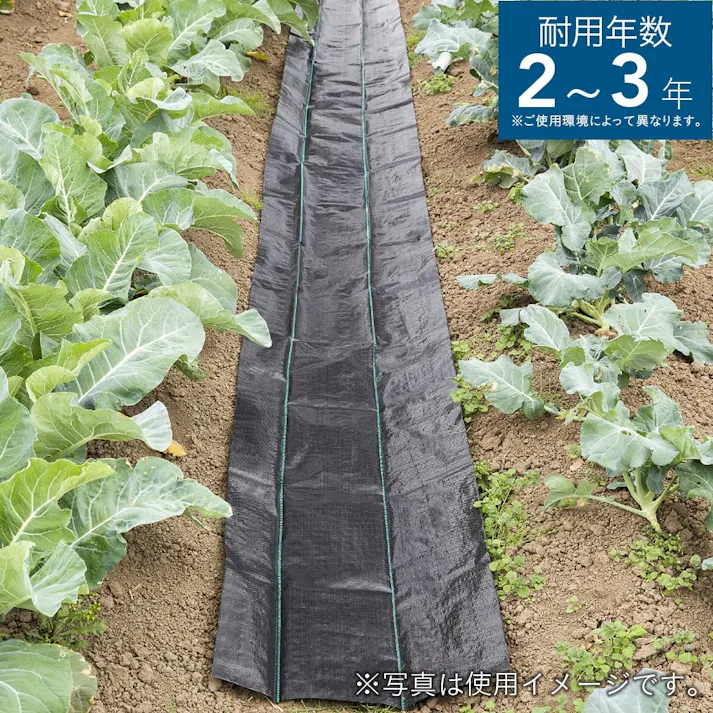 カインズ 防草シート ブラック 幅0.5×長さ5m