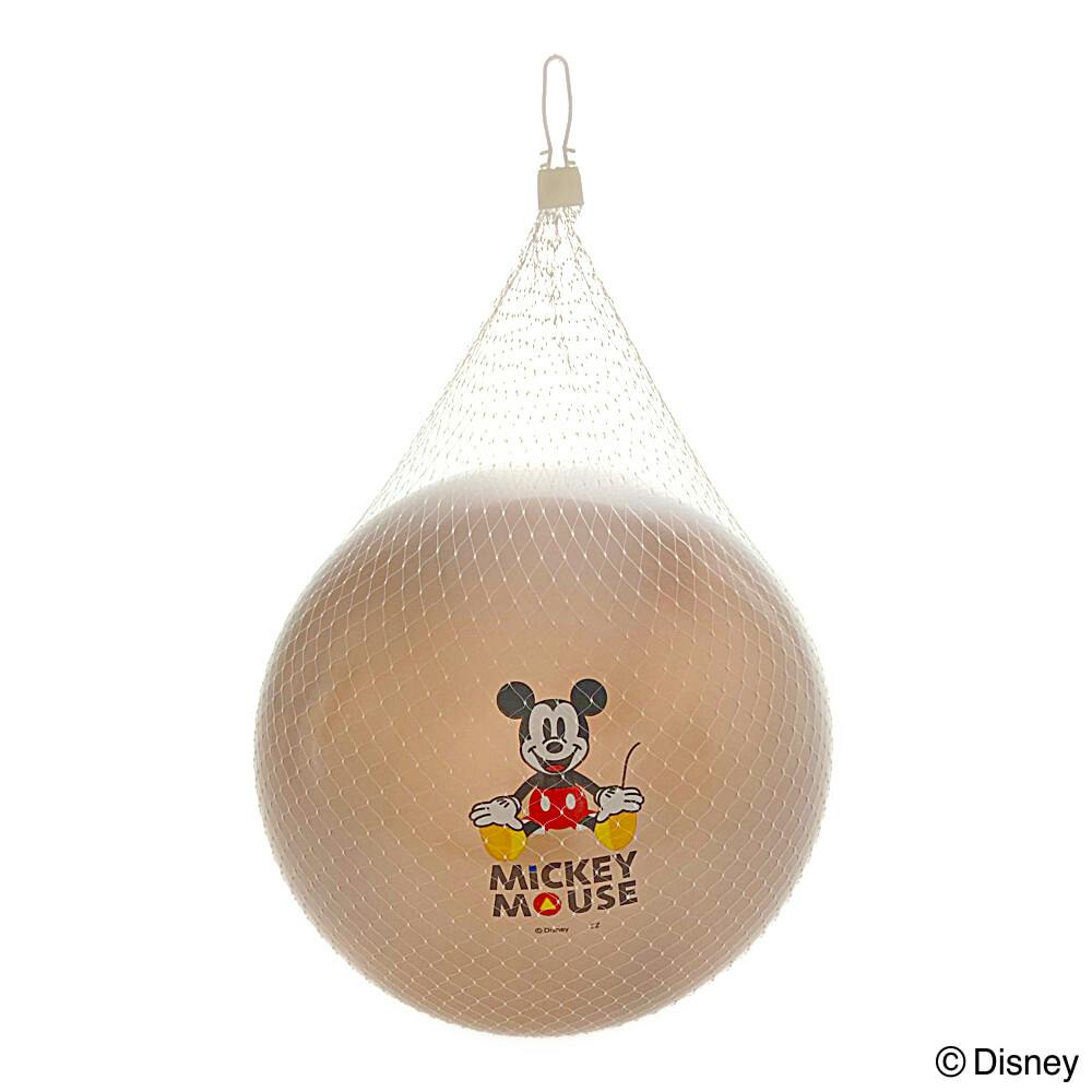 ディズニーピンズ USA直輸入】DISNEY チップ デール エナメル ピン 2個セット