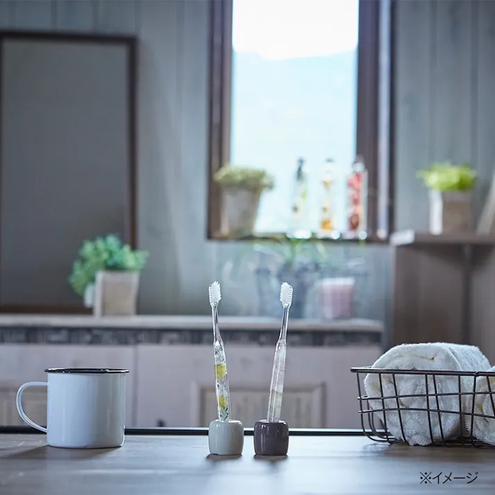 カインズ ハブラシスタンド ブラウン