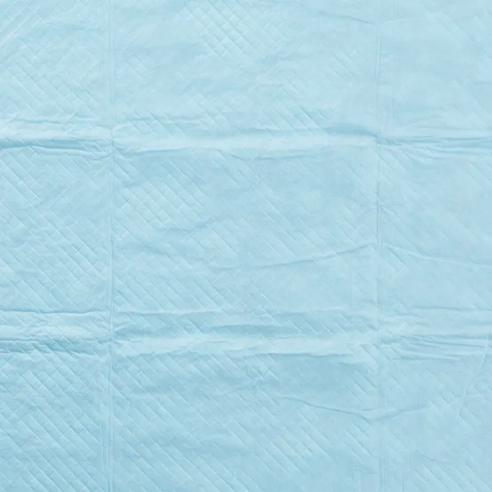 【ケース販売】カインズ 薄型ペットシーツ レギュラー 148枚4個入 犬用 小型犬約1~2回分おしっこ吸収 圧縮コンパクト包装