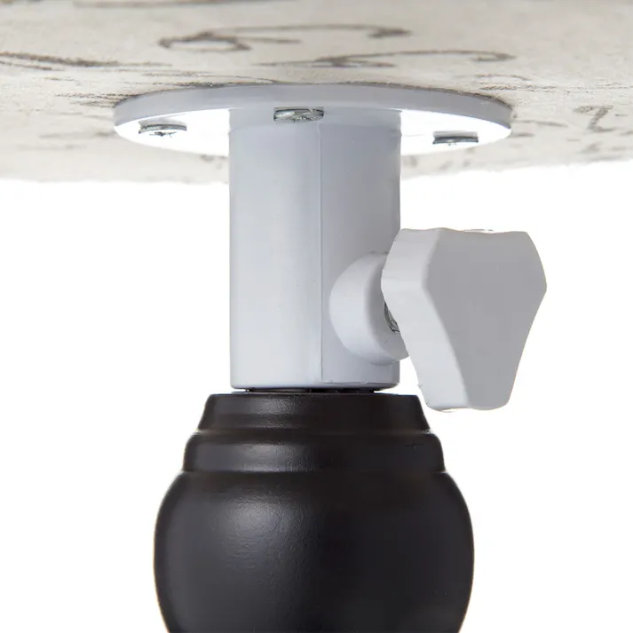 トルソー大 デザイン(販売終了)