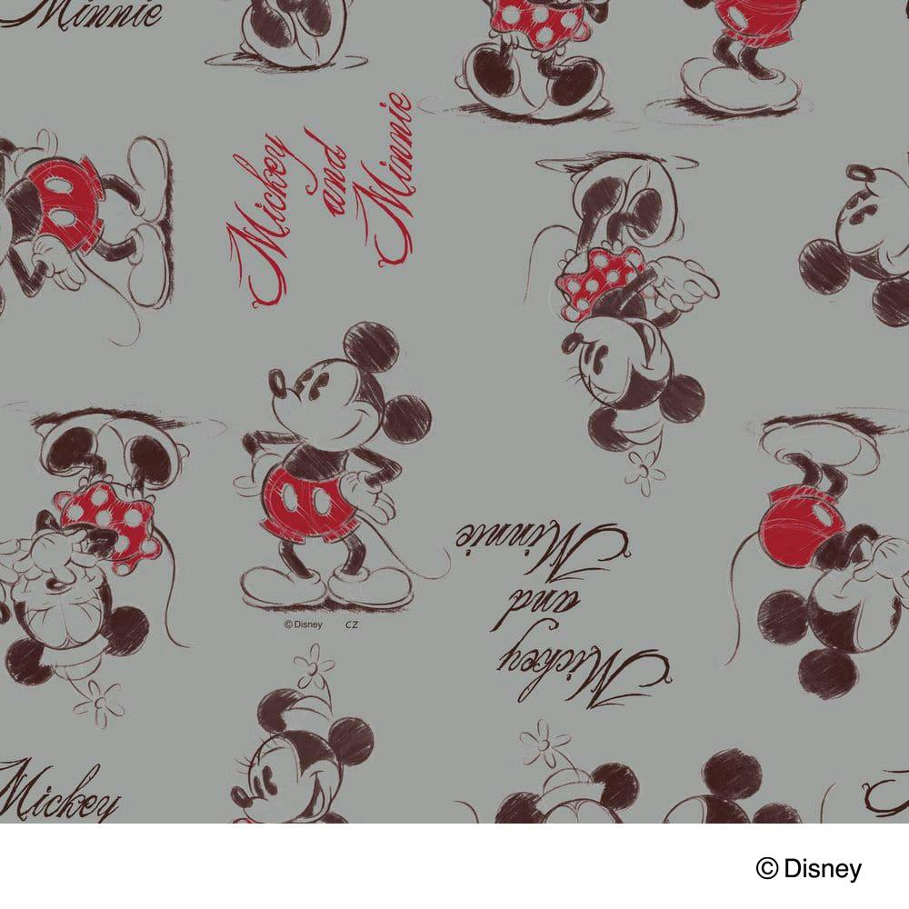 カインズ ディズニー 窓フィルム ミッキー＆ミニー 幅92cm×長さ90cm