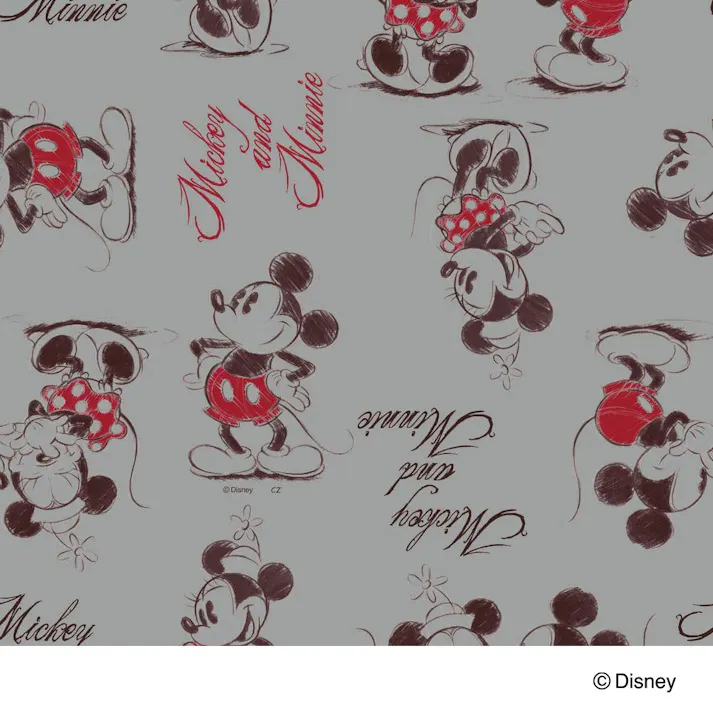 カインズ ディズニー 窓フィルム ミッキー&ミニー 幅92cm×長さ90cm
