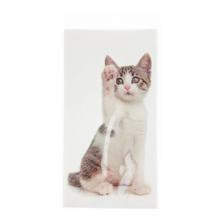 札用ぽち袋 猫 3P(販売終了)