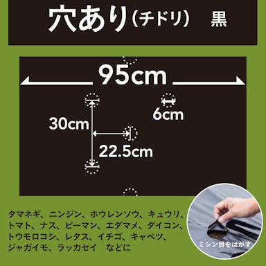 穴あけ簡単菜園マルチ 黒 0.02×95×50m