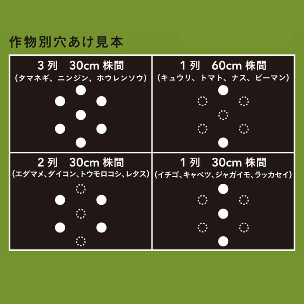 穴あけ簡単菜園マルチ 黒 0.02×95×50m | 農業資材・薬品