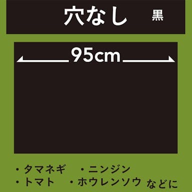 菜園ホールマルチ 黒 0.02×95×10m