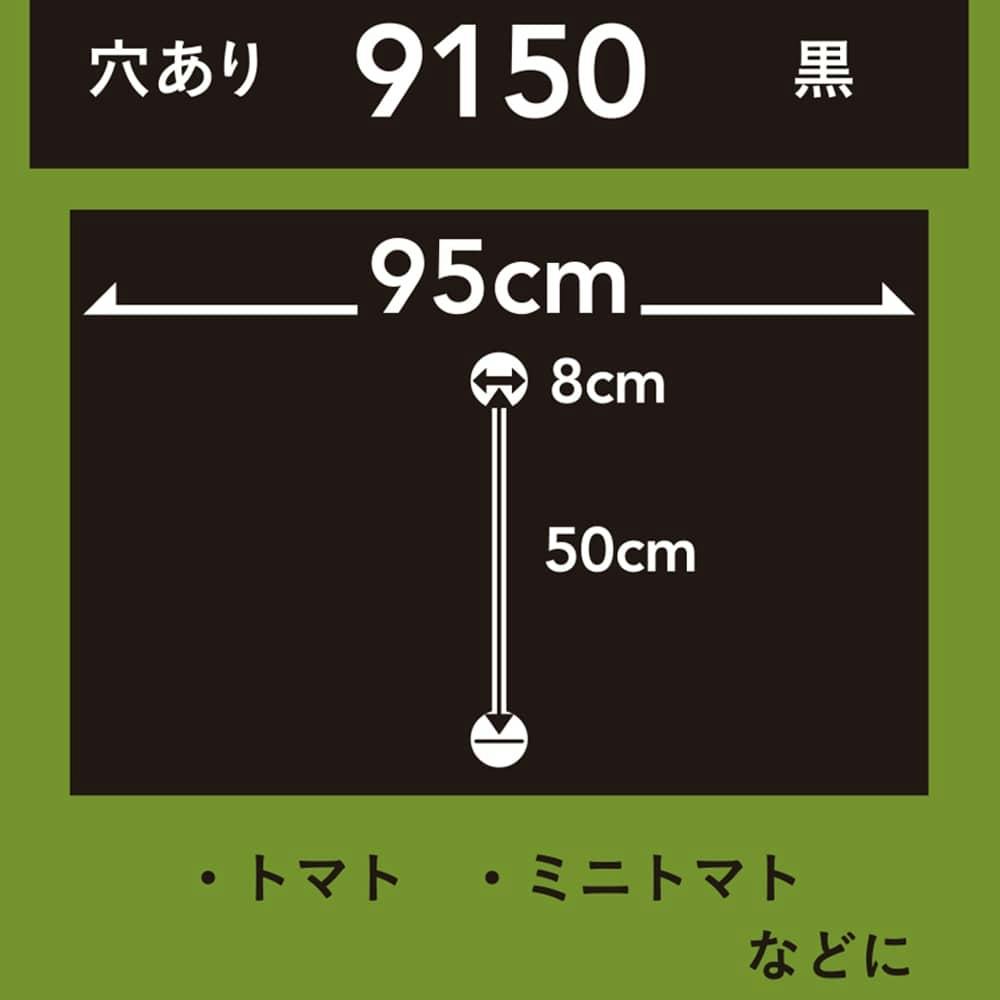 カインズ 菜園マルチ 黒 厚さ0.02mm×幅95cm×長さ10m 9150(販売終了