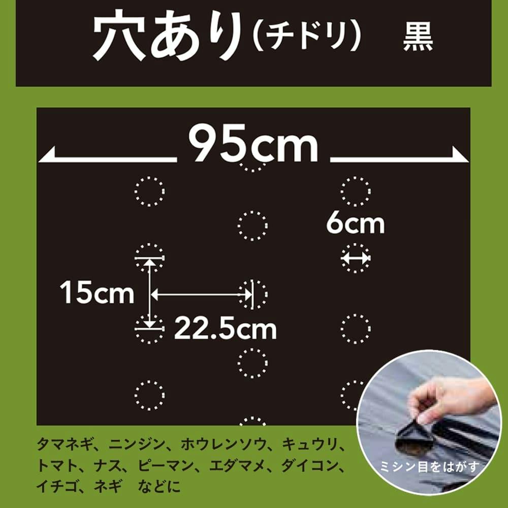 カインズ 穴あけ簡単菜園マルチ 黒 0.02×95×10m | 農業資材・薬品