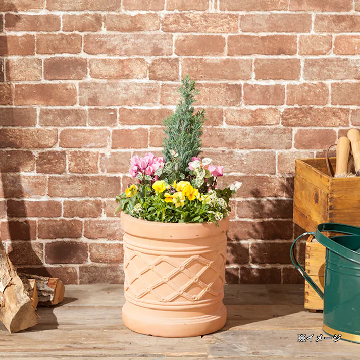 カインズ ブリティッシュプランター テラコッタ ラウンド S