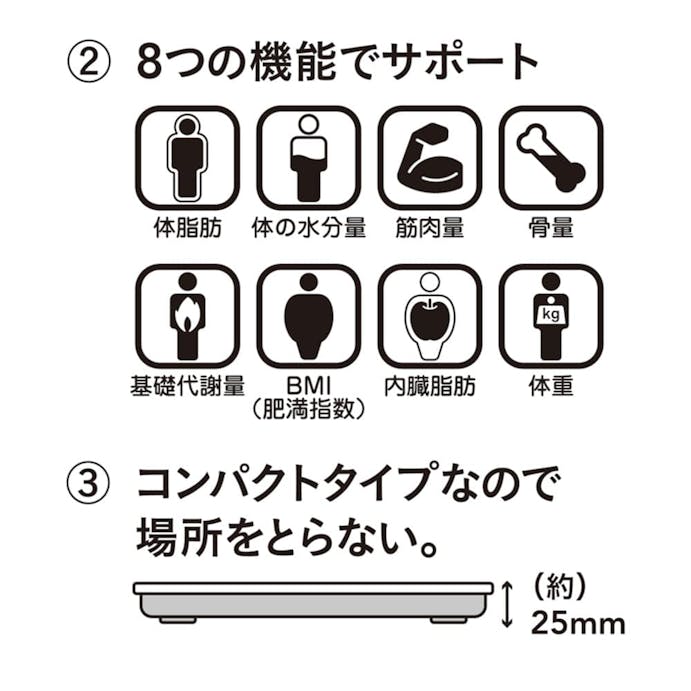 乗るだけヘルスメーター ワールド CZST-02(販売終了)