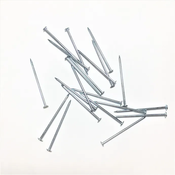カインズ Kumimoku 細釘 0.8mm×22mm 約100入 | ねじ・くぎ・針金・建築金物 | ホームセンター通販【カインズ】