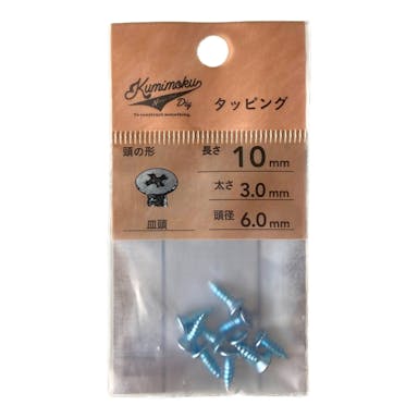 タッピング 皿頭 3mm×10mm 10入