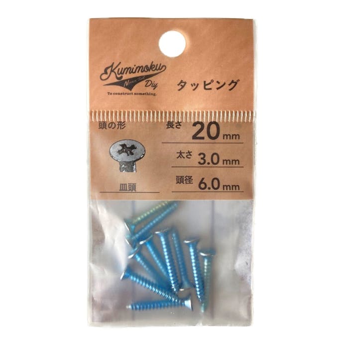 タッピング 皿頭 3mm×20mm 10入