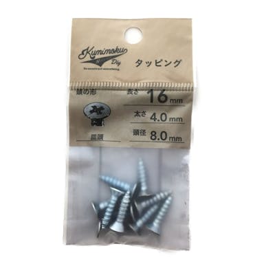 タッピング 皿頭 4mm×16mm 10入