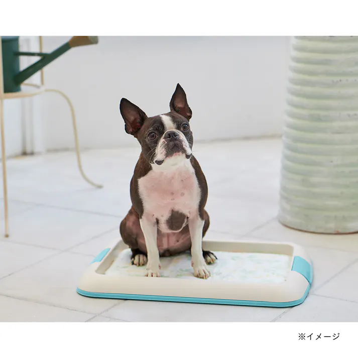 Pet’sOne リビングペットシーツ レギュラーサイズ 88枚(販売終了)