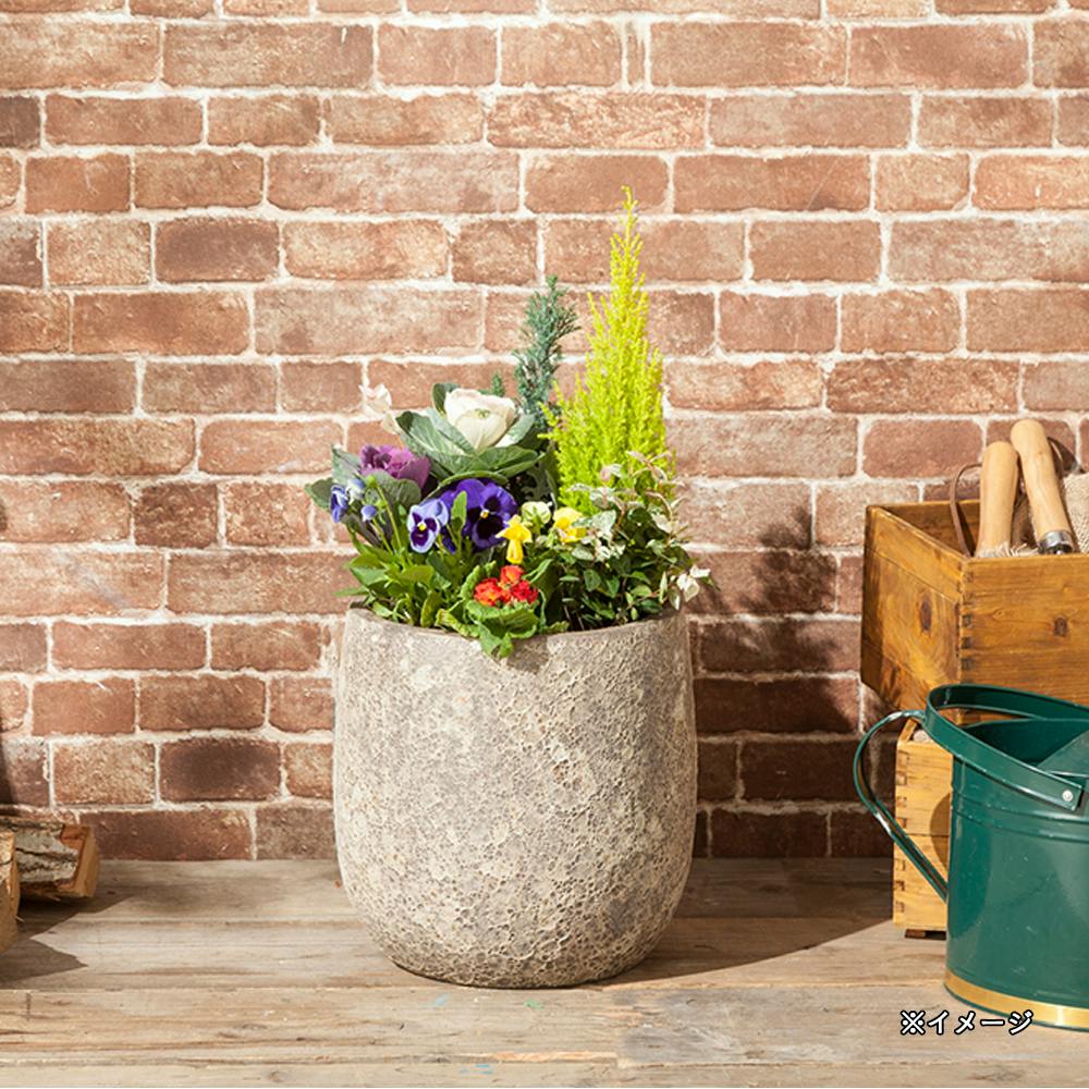カインズ テラコッタ クレーターポット M | 鉢・プランター・花台