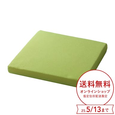 丸洗いできてすぐに乾くメッシュクッション ライトグリーン