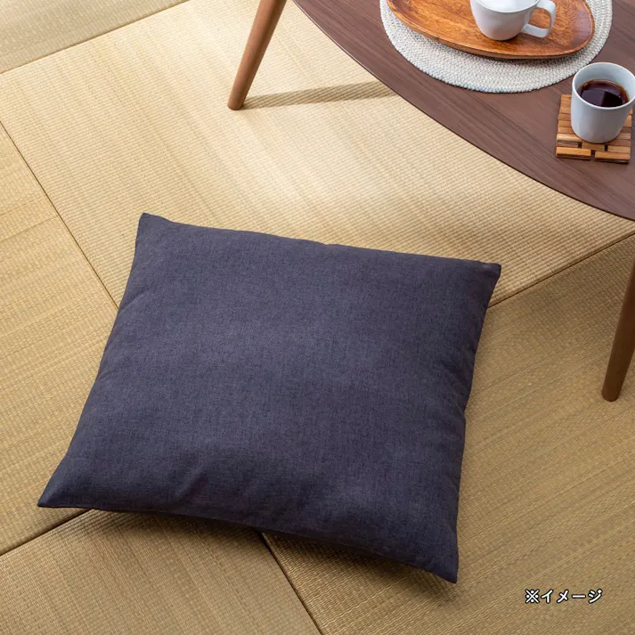 制菌防臭 座布団カバー ダークグレー 55×59cm※カバーのみ
