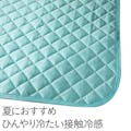 Sもっとひんやり消臭敷きパッド120X200GN(販売終了)