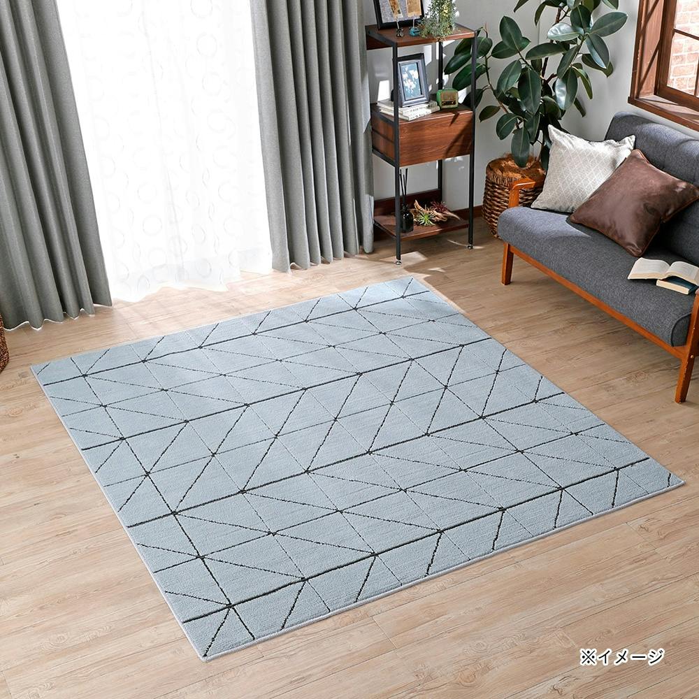 ラグ　輸入品 Amazon | Rasya トヨタ ランクル250 ZXグレード専用