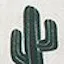 サボテン
